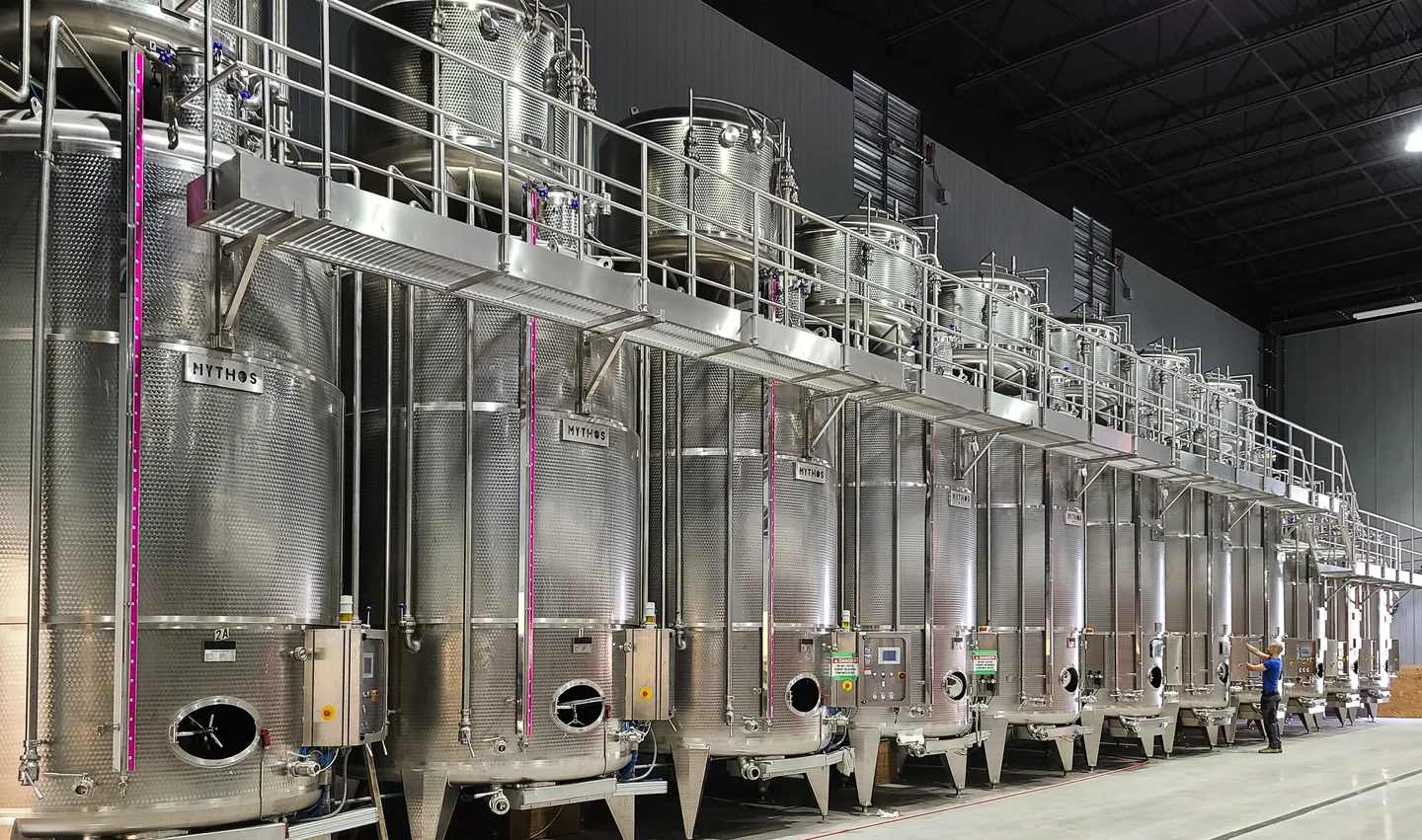 fermentatore per vino
