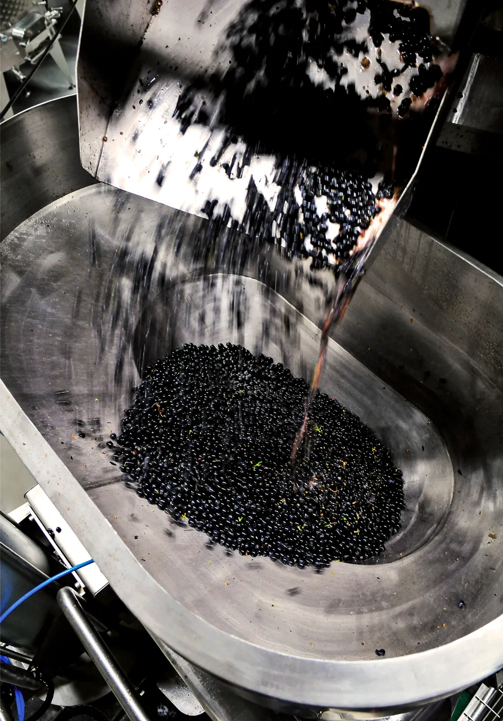 vinificatore in inox leonardo